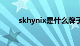 skhynix是什么牌子硬盘（skh 9）