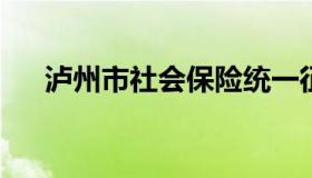 泸州市社会保险统一征缴信息管理平台