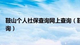 鞍山个人社保查询网上查询（鞍山市社保局个人养老保险查询）