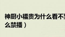 神厨小福贵为什么看不到了（神厨小福贵为什么禁播）