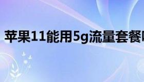 苹果11能用5g流量套餐吗（苹果11能用5g）