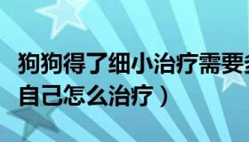 狗狗得了细小治疗需要多少钱（狗狗得了细小自己怎么治疗）