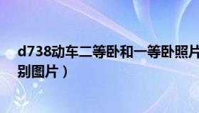 d738动车二等卧和一等卧照片（动车一等卧和二等卧的区别图片）