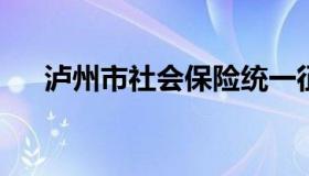 泸州市社会保险统一征缴信息管理平台