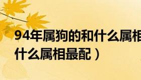 94年属狗的和什么属相最配（94年属狗的和什么属相最配）