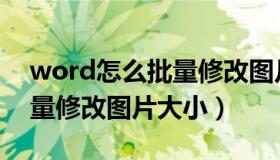 word怎么批量修改图片属性（word怎么批量修改图片大小）