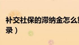 补交社保的滞纳金怎么算（社保补缴滞纳金分录）