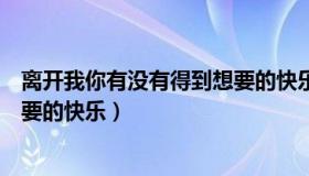 离开我你有没有得到想要的快乐dj（离开我你有没有得到想要的快乐）