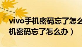 vivo手机密码忘了怎么用电脑解锁（vivo手机密码忘了怎么办）