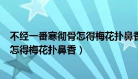 不经一番寒彻骨怎得梅花扑鼻香书法作品（不经一番寒彻骨怎得梅花扑鼻香）