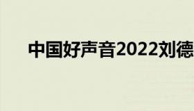 中国好声音2022刘德华（中国好生意）