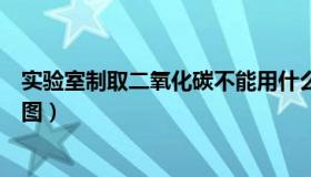 实验室制取二氧化碳不能用什么（实验室制取二氧化碳装置图）