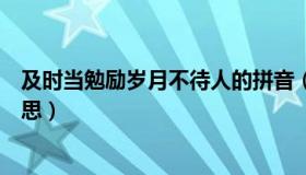 及时当勉励岁月不待人的拼音（及时当勉励岁月不待人的意思）