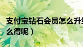 支付宝钻石会员怎么升级（支付宝钻石会员怎么得呢）