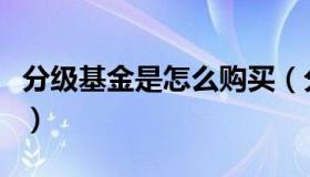 分级基金是怎么购买（分级基金是怎么一回事）