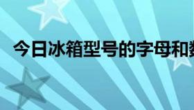 今日冰箱型号的字母和数字分别代表什么？