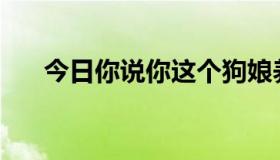 今日你说你这个狗娘养的是什么意思？