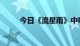 今日《流星雨》中哪几集有吻戏？