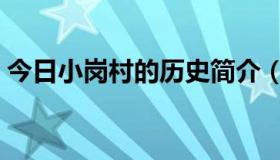 今日小岗村的历史简介（小岗村的历史沿革）