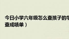 今日小学六年级怎么查孩子的学籍号码呢（小学六年级怎么查成绩单）