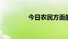 今日农民方面的基本概况