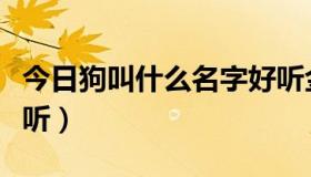 今日狗叫什么名字好听金毛（狗叫什么名字好听）