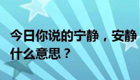 今日你说的宁静，安静，安静，安静，孤独是什么意思？