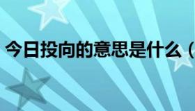 今日投向的意思是什么（投向的意思是什么）