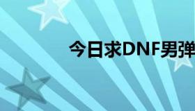 今日求DNF男弹药pk加点分