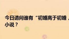 今日请问谁有“初婚高于初婚，小女孩再婚的故事”这样的小说？