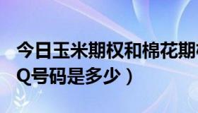 今日玉米期权和棉花期权怎么样交易（杨幂QQ号码是多少）