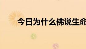 今日为什么佛说生命只在呼吸之间？