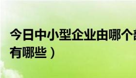 今日中小型企业由哪个部门认定（中小型企业有哪些）