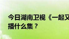 今日湖南卫视《一起又看流星雨》 8月14日播什么集？