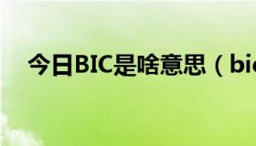 今日BIC是啥意思（bic认证是什么意思）