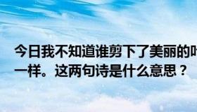 今日我不知道谁剪下了美丽的叶子，但二月的春风就像剪刀一样。这两句诗是什么意思？