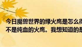 今日魔兽世界的绿火鹰是怎么得到的？不是退化的火鹰，也不是纯血的火鹰。我想知道的是绿火鹰没见过有人骑过。