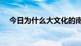 今日为什么大文化的南方报是汉奸媒体！