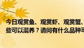 今日观赏鱼、观赏虾、观赏蟹、蝾螈、金钱蛙、猪鼻龟，哪些可以混养？请问有什么品种可以混养的吗？