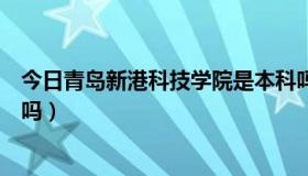 今日青岛新港科技学院是本科吗（青岛新港科技学院是本科吗）