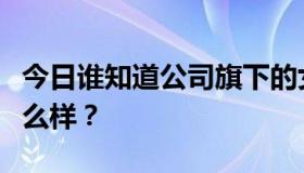 今日谁知道公司旗下的女神一号品牌几百片怎么样？