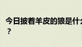 今日披着羊皮的狼是什么时候从谭咏麟出来的？