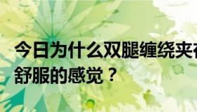 今日为什么双腿缠绕夹在里面会突然有一种很舒服的感觉？