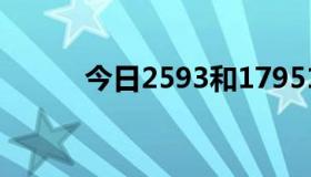 今日2593和17951有什么区别？