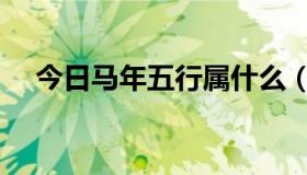 今日马年五行属什么（马年五行属什么）