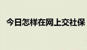 今日怎样在网上交社保（怎样在网上挣钱）