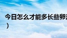 今日怎么才能多长些卵泡（怎么才能多赚点钱）