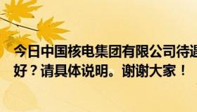 今日中国核电集团有限公司待遇怎么样？哪些下属企业比较好？请具体说明。谢谢大家！