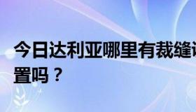 今日达利亚哪里有裁缝训练师？你知道具体位置吗？