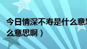 今日情深不寿是什么意思呀（情深不寿，是什么意思啊）